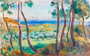 Pini vicino a Cagnes, c. 1910 da Pierre Auguste Renoir
