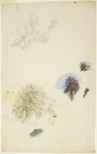 Studi di alberi e fogliame da Pierre Auguste Renoir