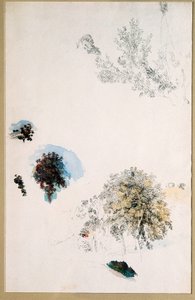 Studi di alberi da Pierre Auguste Renoir