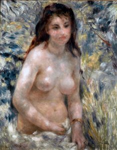 Torso, effetto del sole da Pierre Auguste Renoir