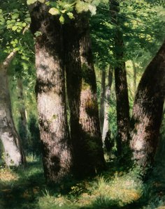 Immagine sconosciuta da Pierre Auguste Renoir