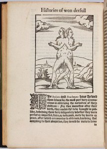 Una raccolta di storie straordinarie Histoires prodigieuses, 1560 da Pierre Boaistuau