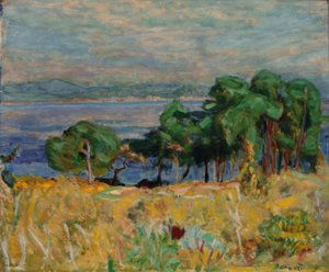 La baia di Saint-Tropez da Pierre Bonnard