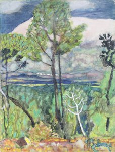Paesaggio da Pierre Bonnard