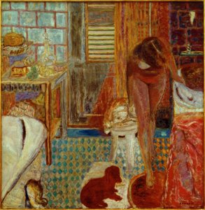 Il gabinetto da toilette