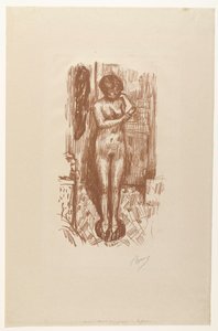 Donna nuda seduta si lava da Pierre Bonnard