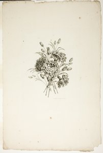 Bouquet con garofani, dalla Collezione di diversi bouquet di fiori, inventati e disegnati da Jean Pillement e incisi da P. C. Canot da Pierre Charles Canot