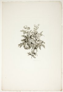 Bouquet con peonie, da una raccolta di diversi mazzi di fiori, inventati e disegnati da Jean Pillement e incisi da P. C. Canot