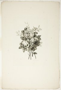 Bouquet con Rose, dalla Collezione di Diversi Mazzi di Fiori, Inventato e Disegnato da Jean Pillement e Inciso da P. C. Canot