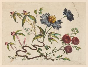 Stampa, Rami di fiori, da "Recueil de Differentes Fleurs de Fantaisie Dans le Goût Chinois". da Pierre Charles Canot