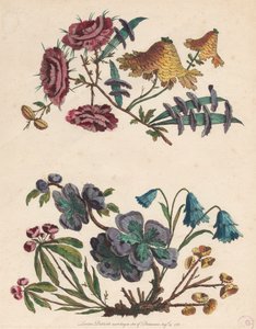 Due rami di fiori immaginari da Pierre Charles Canot