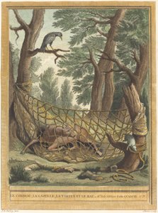 Il corvo, la gazzella, la tartaruga e il topo da Pierre Chenu after Jean Baptiste Oudry