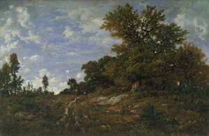 Il bordo del bosco a Monts-Girard, foresta di Fontainebleau da Pierre Etienne Theodore Rousseau