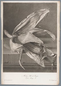 Mais da Pierre François Legrand
