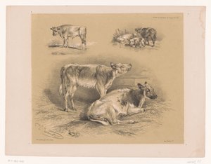 Tre studi di bovini