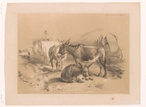 Studio di tre asini da Pierre Frédéric Lehnert