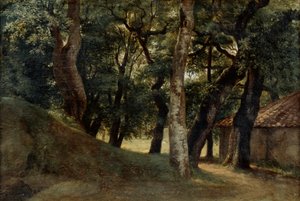 Foresta della Villa Borghese, fine XVIII-inizio XIX secolo da Pierre Henri de Valenciennes