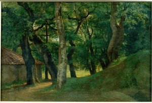 Foret de la Villa Borghese - Forest of the Villa Borghese … da Pierre Henri de Valenciennes
