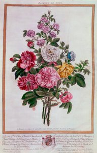 Bouquet di rose Litografia di Pierre Joseph Buchoz (1731-1807) XVIII secolo Parigi, B.N.