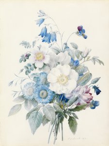 Astri blu, rosa spinosissima (ibrida), campanula, viole, garofano e una rosa selvatica da Pierre Joseph Redouté