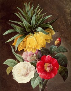 Fiori esotici