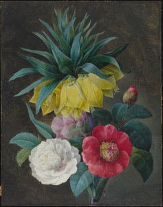 Quattro peonie e una corona imperiale