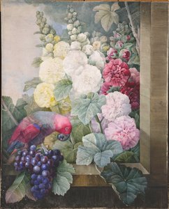 Malvarosa, uva e un pappagallo, 1836
