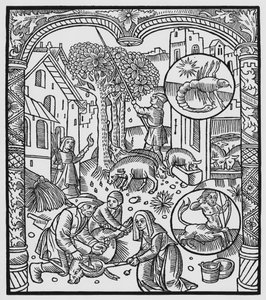 Novembre, uccisione del maiale e raccolta delle ghiande, Scorpione, illustrazione dall