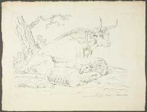 Un toro e due pecore da Pierre Lelu