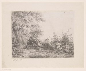 Albero caduto al margine del bosco