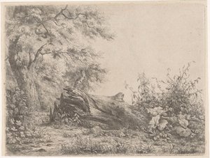 Albero caduto al margine del bosco da Pierre Louis Dubourcq