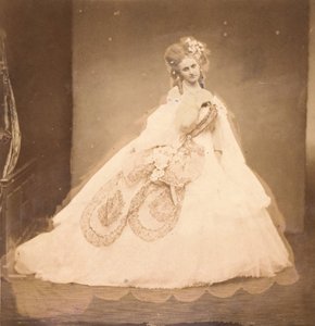 La Bisi. Boudoir, vestaglia di velluto grigio, moiré rosa, fiori rosa, foglie grigie di sa mai, 1860s