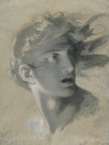 Testa della vendetta