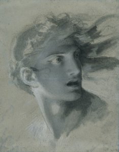 Testa della vendetta, c.1804 da Pierre Paul Prudhon