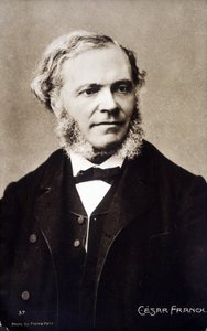 Ritratto di César Franck, compositore e organista francese di origine belga (1822-1890) da Pierre Petit