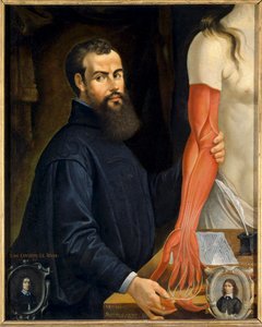 Ritratto di Andrea Vesalio (Andrea Vesalius o Andries Van Wesel), anatomista e medico di Carlo V