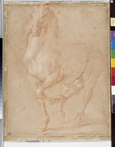 Studio di cavallo da Pierre Puget