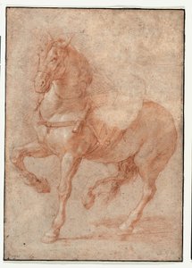 Studio di Bucefalo per il rilievo "Alessandro e Diogene