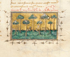 Dettaglio di una pagina da "De Proprietatibus Rerum" di Bartholomeus Anglicus, nella traduzione francese di Jean Corbechon da Pierre Remiet