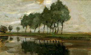 Paesaggio di alberi vicino a Gein