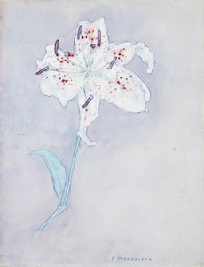 Giglio, c.1920-25 da Piet Mondrian