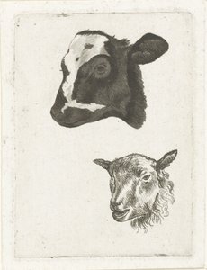 Testa di vitello pezzato nero e pecora da Pieter Barbiers (IV)
