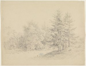Veduta del bosco con pini da Pieter Bartholomeusz. Barbiers