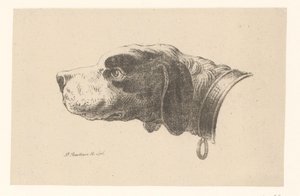 Testa di cane con collare da Pieter Bartholomeusz. Barbiers