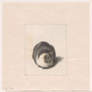 Gatto seduto, visto di fronte