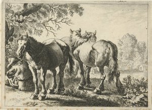 Tre cavalli e un contadino da Pieter Bodding van Laer