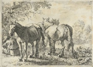 Tre cavalli e un contadino da Pieter Bodding van Laer
