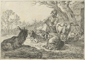 Pastorella tra capre e pecore (Diversi animali) da Pieter Bodding van Laer