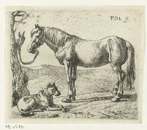 Cavallo e cane in un prato da Pieter Bodding van Laer