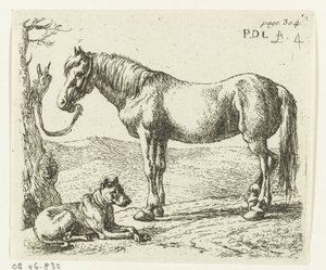 Cavallo e cane in un prato (Cavalli)